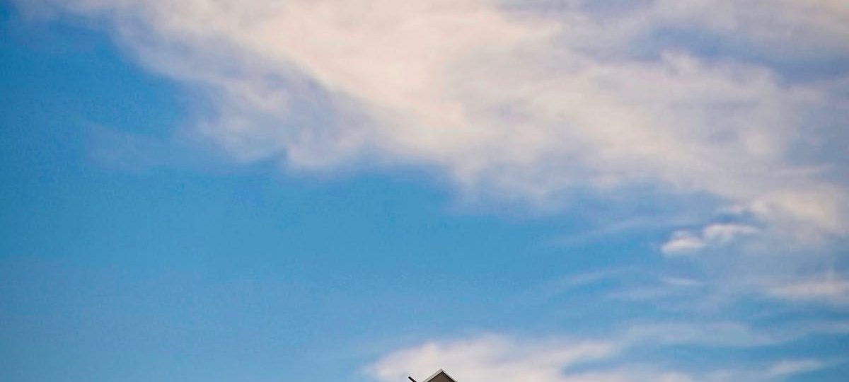 Champions of Sustainability: Teryn Quorve and Elyndor Flayrath