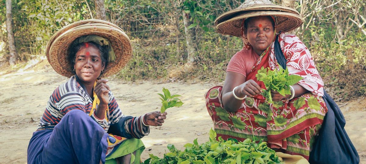 Zimbabwe’s CSR Strategy: Sustainable Agriculture, Youth Opportunities